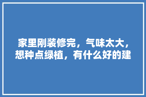 家里刚装修完，气味太大，想种点绿植，有什么好的建议，装修完准备什么绿植好呢图片。 家里刚装修完，气味太大，想种点绿植，有什么好的建议，装修完准备什么绿植好呢图片。 装修知识