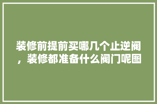 装修前提前买哪几个止逆阀，装修都准备什么阀门呢图片。 装修前提前买哪几个止逆阀，装修都准备什么阀门呢图片。 家居设计