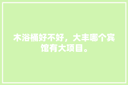 木浴桶好不好，大丰哪个宾馆有大项目。 木浴桶好不好，大丰哪个宾馆有大项目。 二手房
