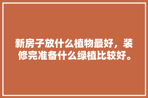 新房子放什么植物最好，装修完准备什么绿植比较好。 新房子放什么植物最好，装修完准备什么绿植比较好。 家居装饰