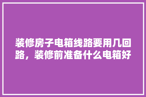 装修房子电箱线路要用几回路，装修前准备什么电箱好。 装修房子电箱线路要用几回路，装修前准备什么电箱好。 家居装饰