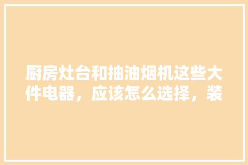 厨房灶台和抽油烟机这些大件电器，应该怎么选择，装修厨房应该准备什么东西。 厨房灶台和抽油烟机这些大件电器，应该怎么选择，装修厨房应该准备什么东西。 家居装饰