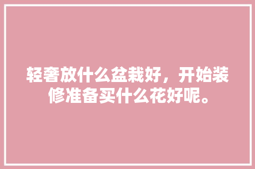 轻奢放什么盆栽好，开始装修准备买什么花好呢。 轻奢放什么盆栽好，开始装修准备买什么花好呢。 二手房