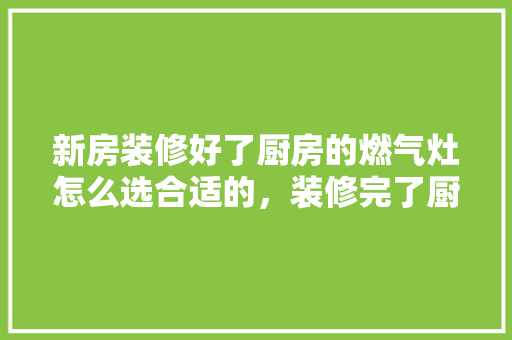 新房装修好了厨房的燃气灶怎么选合适的，装修完了厨房要准备什么东西。 新房装修好了厨房的燃气灶怎么选合适的，装修完了厨房要准备什么东西。 二手房