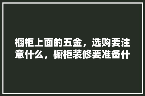 橱柜上面的五金，选购要注意什么，橱柜装修要准备什么材料。 橱柜上面的五金，选购要注意什么，橱柜装修要准备什么材料。 装修知识