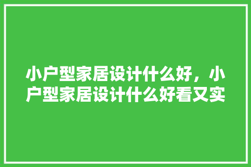小户型家居设计什么好，小户型家居设计什么好看又实用。 家居设计