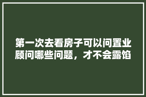 第一次去看房子可以问置业顾问哪些问题，才不会露馅，装修房子咨询要准备些什么内容呢。 第一次去看房子可以问置业顾问哪些问题，才不会露馅，装修房子咨询要准备些什么内容呢。 装修知识