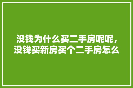 没钱为什么买二手房呢呢，没钱买新房买个二手房怎么样。 没钱为什么买二手房呢呢，没钱买新房买个二手房怎么样。 二手房