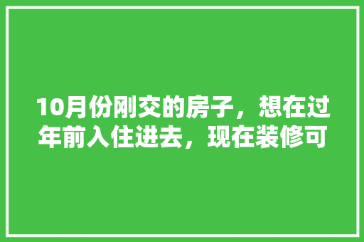 10月份刚交的房子，想在过年前入住进去，现在装修可以吗，年前装修要准备什么东西。 10月份刚交的房子，想在过年前入住进去，现在装修可以吗，年前装修要准备什么东西。 家居设计