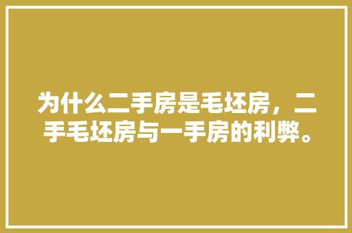 为什么二手房是毛坯房，二手毛坯房与一手房的利弊。 为什么二手房是毛坯房，二手毛坯房与一手房的利弊。 二手房