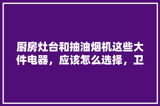 厨房灶台和抽油烟机这些大件电器，应该怎么选择，卫生间回填用什么材料好。 厨房灶台和抽油烟机这些大件电器，应该怎么选择，卫生间回填用什么材料好。 家居装饰