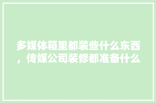多媒体箱里都装些什么东西，传媒公司装修都准备什么东西。 多媒体箱里都装些什么东西，传媒公司装修都准备什么东西。 装修知识