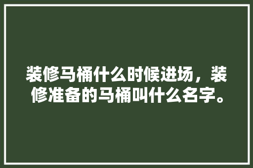 装修马桶什么时候进场，装修准备的马桶叫什么名字。 装修马桶什么时候进场，装修准备的马桶叫什么名字。 家居设计