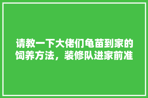 请教一下大佬们龟苗到家的饲养方法，装修队进家前准备什么东西。 请教一下大佬们龟苗到家的饲养方法，装修队进家前准备什么东西。 装修知识