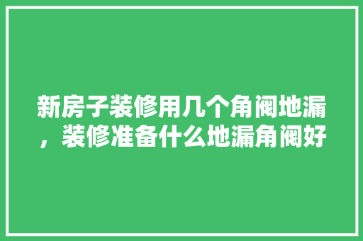 新房子装修用几个角阀地漏，装修准备什么地漏角阀好。 新房子装修用几个角阀地漏，装修准备什么地漏角阀好。 家居设计