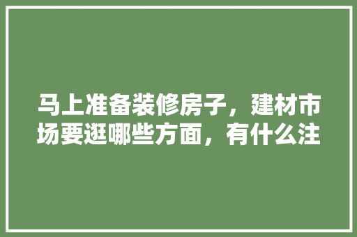 马上准备装修房子，建材市场要逛哪些方面，有什么注意事项，房租装修需要准备什么东西。 马上准备装修房子，建材市场要逛哪些方面，有什么注意事项，房租装修需要准备什么东西。 装修知识