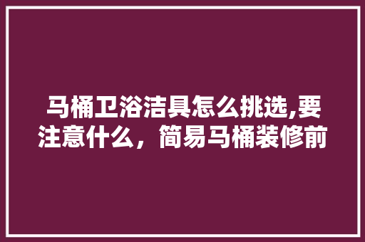马桶卫浴洁具怎么挑选,要注意什么，简易马桶装修前准备什么东西。 马桶卫浴洁具怎么挑选,要注意什么，简易马桶装修前准备什么东西。 二手房