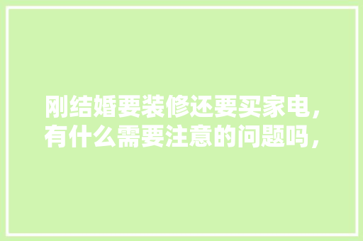 刚结婚要装修还要买家电，有什么需要注意的问题吗，装修前厨房里要准备什么东西。 刚结婚要装修还要买家电，有什么需要注意的问题吗，装修前厨房里要准备什么东西。 二手房