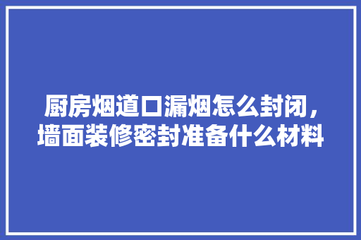 厨房烟道口漏烟怎么封闭，墙面装修密封准备什么材料。 厨房烟道口漏烟怎么封闭，墙面装修密封准备什么材料。 二手房