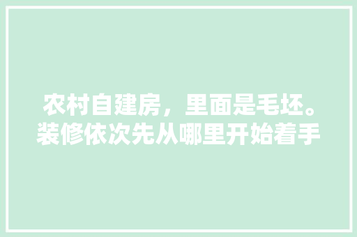 农村自建房，里面是毛坯。装修依次先从哪里开始着手装修起最好，装修每一步开始准备什么东西。 农村自建房，里面是毛坯。装修依次先从哪里开始着手装修起最好，装修每一步开始准备什么东西。 家居装饰