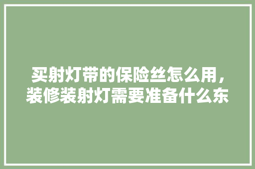 买射灯带的保险丝怎么用，装修装射灯需要准备什么东西。 买射灯带的保险丝怎么用，装修装射灯需要准备什么东西。 家居装饰