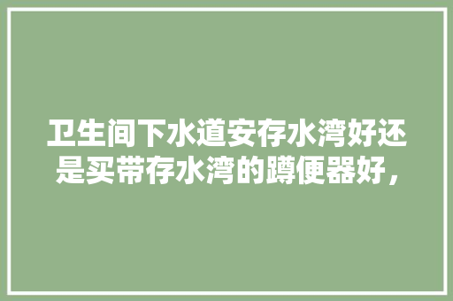 卫生间下水道安存水湾好还是买带存水湾的蹲便器好，卫生间需要准备什么装修材料。 卫生间下水道安存水湾好还是买带存水湾的蹲便器好，卫生间需要准备什么装修材料。 二手房