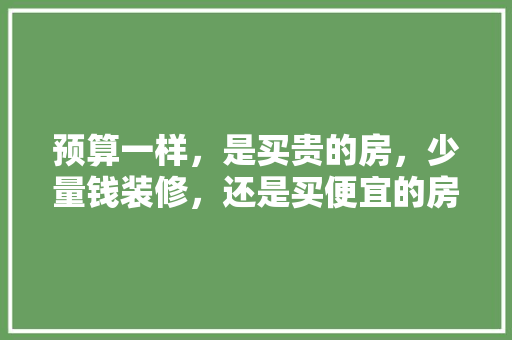 预算一样，是买贵的房，少量钱装修，还是买便宜的房，较多钱装修，准备装修有什么好建议呢。 预算一样，是买贵的房，少量钱装修，还是买便宜的房，较多钱装修，准备装修有什么好建议呢。 家居设计
