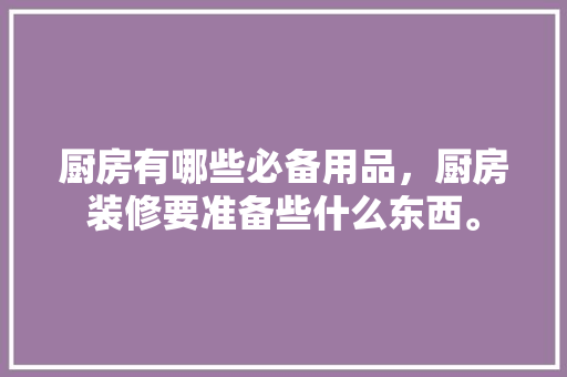 厨房有哪些必备用品，厨房装修要准备些什么东西。 厨房有哪些必备用品，厨房装修要准备些什么东西。 家居装饰
