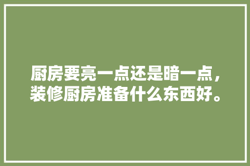 厨房要亮一点还是暗一点，装修厨房准备什么东西好。 厨房要亮一点还是暗一点，装修厨房准备什么东西好。 家居设计