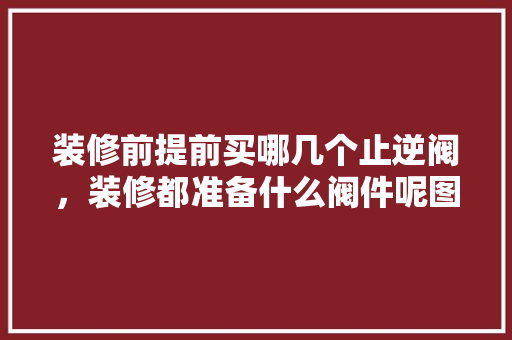 装修前提前买哪几个止逆阀，装修都准备什么阀件呢图片。 装修前提前买哪几个止逆阀，装修都准备什么阀件呢图片。 二手房
