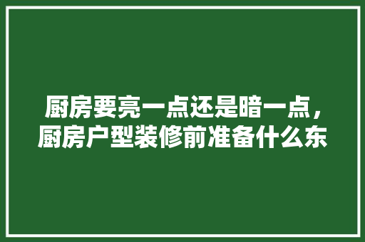 厨房要亮一点还是暗一点，厨房户型装修前准备什么东西。 厨房要亮一点还是暗一点，厨房户型装修前准备什么东西。 家居设计