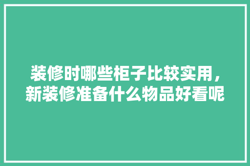 装修时哪些柜子比较实用，新装修准备什么物品好看呢。 装修时哪些柜子比较实用，新装修准备什么物品好看呢。 装修知识