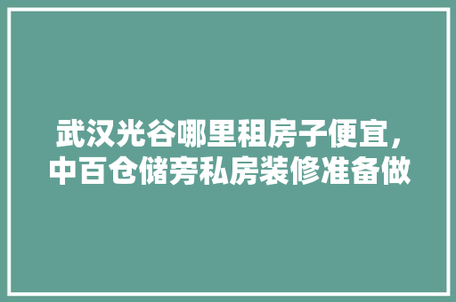 武汉光谷哪里租房子便宜，中百仓储旁私房装修准备做什么项目。 武汉光谷哪里租房子便宜，中百仓储旁私房装修准备做什么项目。 家居装饰