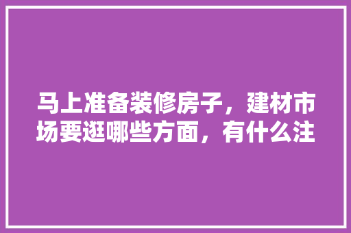 马上准备装修房子，建材市场要逛哪些方面，有什么注意事项，装修房子需要准备些什么东西。 马上准备装修房子，建材市场要逛哪些方面，有什么注意事项，装修房子需要准备些什么东西。 装修知识