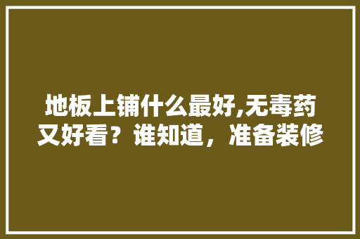 地板上铺什么最好,无毒药又好看？谁知道，准备装修要备什么药品。 地板上铺什么最好,无毒药又好看？谁知道，准备装修要备什么药品。 装修知识