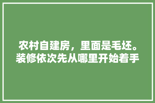 农村自建房，里面是毛坯。装修依次先从哪里开始着手装修起最好，开始装修先准备什么东西呢。 农村自建房，里面是毛坯。装修依次先从哪里开始着手装修起最好，开始装修先准备什么东西呢。 买房须知