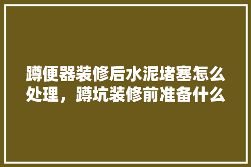蹲便器装修后水泥堵塞怎么处理，蹲坑装修前准备什么材料好。 蹲便器装修后水泥堵塞怎么处理，蹲坑装修前准备什么材料好。 买房须知