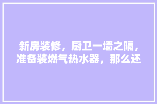 新房装修，厨卫一墙之隔，准备装燃气热水器，那么还需要再装小厨宝吗，厨卫装修要准备什么材料呢。 新房装修，厨卫一墙之隔，准备装燃气热水器，那么还需要再装小厨宝吗，厨卫装修要准备什么材料呢。 二手房