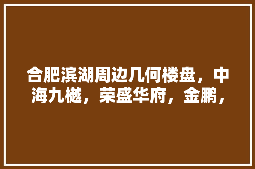 合肥滨湖周边几何楼盘，中海九樾，荣盛华府，金鹏，以及一些其，巢湖准备装修的房子叫什么名字。 合肥滨湖周边几何楼盘，中海九樾，荣盛华府，金鹏，以及一些其，巢湖准备装修的房子叫什么名字。 二手房