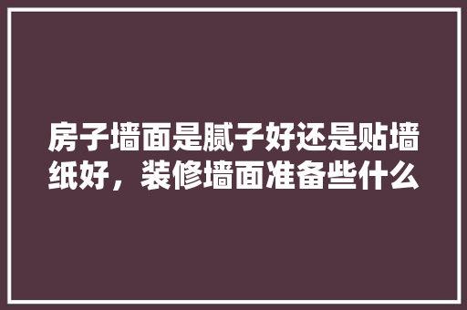 房子墙面是腻子好还是贴墙纸好，装修墙面准备些什么材料好。 房子墙面是腻子好还是贴墙纸好，装修墙面准备些什么材料好。 买房须知