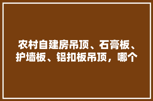 农村自建房吊顶、石膏板、护墙板、铝扣板吊顶，哪个比较经济实惠好看，装修吊顶准备什么材料好呢。 农村自建房吊顶、石膏板、护墙板、铝扣板吊顶，哪个比较经济实惠好看，装修吊顶准备什么材料好呢。 二手房