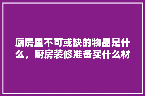厨房里不可或缺的物品是什么，厨房装修准备买什么材料好。 厨房里不可或缺的物品是什么，厨房装修准备买什么材料好。 买房须知