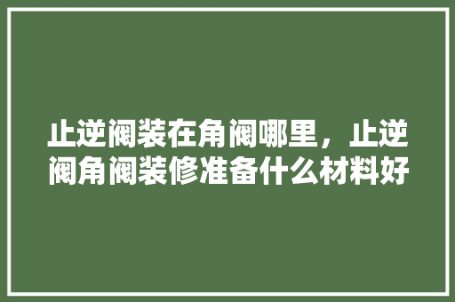 止逆阀装在角阀哪里，止逆阀角阀装修准备什么材料好。 止逆阀装在角阀哪里，止逆阀角阀装修准备什么材料好。 二手房