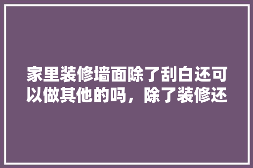 家里装修墙面除了刮白还可以做其他的吗，除了装修还要准备什么东西。 家里装修墙面除了刮白还可以做其他的吗，除了装修还要准备什么东西。 买房须知