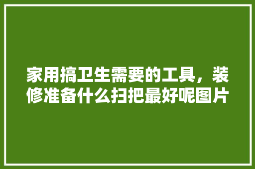 家用搞卫生需要的工具，装修准备什么扫把最好呢图片。 家用搞卫生需要的工具，装修准备什么扫把最好呢图片。 家居装饰