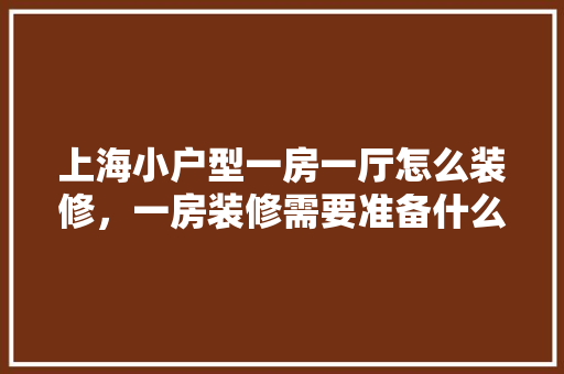 上海小户型一房一厅怎么装修，一房装修需要准备什么东西。 上海小户型一房一厅怎么装修，一房装修需要准备什么东西。 装修知识