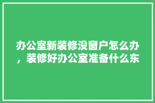 办公室新装修没窗户怎么办，装修好办公室准备什么东西。 办公室新装修没窗户怎么办，装修好办公室准备什么东西。 装修知识
