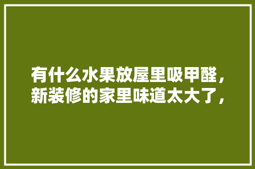 有什么水果放屋里吸甲醛，新装修的家里味道太大了，装修房子准备什么水果比较好。 有什么水果放屋里吸甲醛，新装修的家里味道太大了，装修房子准备什么水果比较好。 家居装饰
