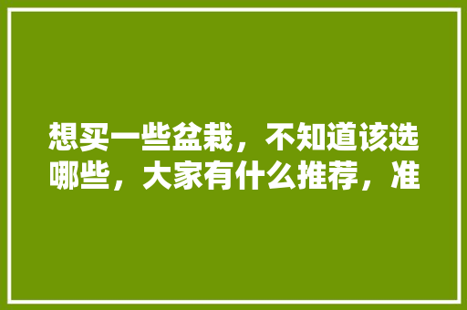 想买一些盆栽，不知道该选哪些，大家有什么推荐，准备装修该买什么花呢。 想买一些盆栽，不知道该选哪些，大家有什么推荐，准备装修该买什么花呢。 二手房