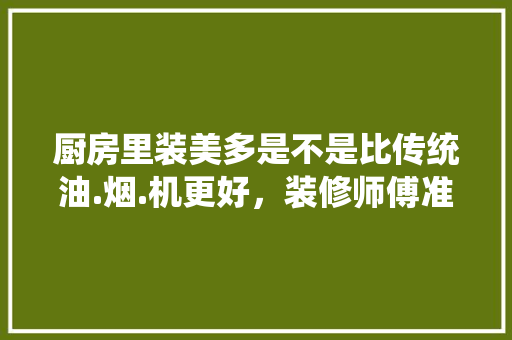 厨房里装美多是不是比传统油.烟.机更好，装修师傅准备什么香烟好呢。 厨房里装美多是不是比传统油.烟.机更好，装修师傅准备什么香烟好呢。 家居设计